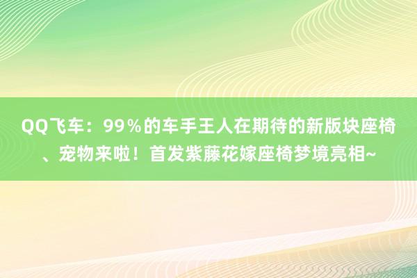 QQ飞车：99％的车手王人在期待的新版块座椅、宠物来啦！首发紫藤花嫁座椅梦境亮相~