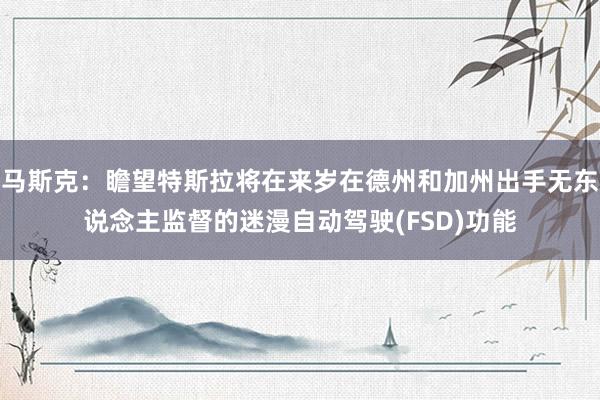 马斯克：瞻望特斯拉将在来岁在德州和加州出手无东说念主监督的迷漫自动驾驶(FSD)功能