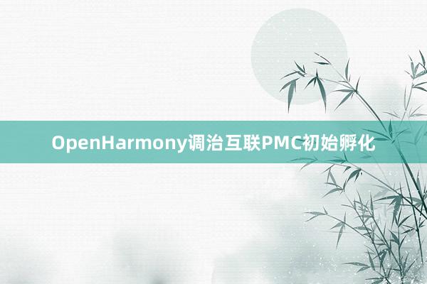 OpenHarmony调治互联PMC初始孵化